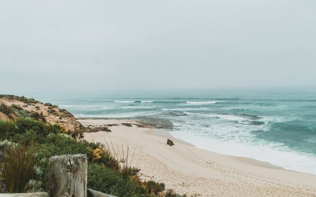 A sandy beach with small white waves and grass patch and wood fence behind it