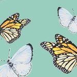 Family_Page_pollinator_011