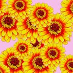 Family_Page_pollinator_03