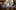 bg2019eg_bar_006 A bartender with a white T-shirt places a curled orange peel pink-colored drink in a long stem glass with chopsticks, at a bar top with blue cloth and bar items.