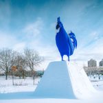 bg2023msg0106_winter_004