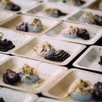 Rows of square wood plates: with slices of meet and a slaw