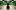 ex2015hm_ins_perlman_012 An adult standing in front of a large planter in a room full of large planters